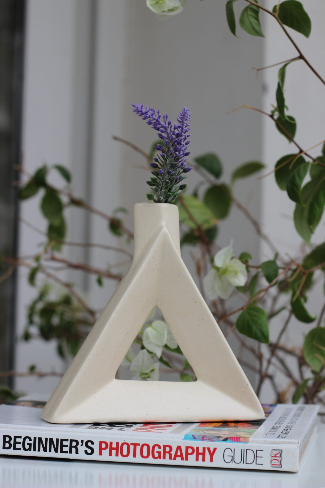 Hollow Triangle Vase